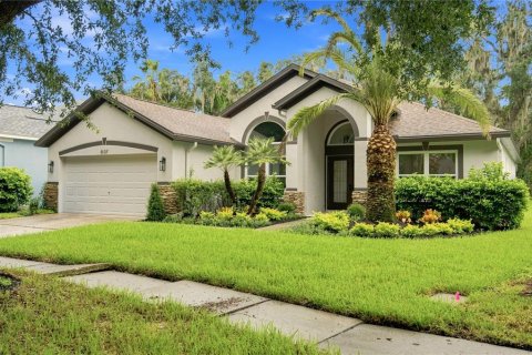 House in Fish Hawk, Florida 3 bedrooms, 201.23 sq.m. № 2359260