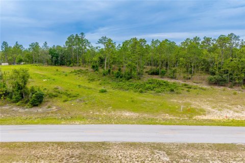 Terrain à vendre à Williston, Floride № 2161415 - photo 7