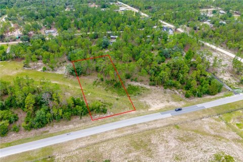 Terrain à vendre à Williston, Floride № 2161415 - photo 6