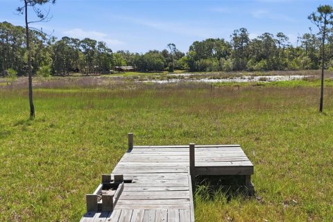 Terrain à Eustis, Floride № 2129486