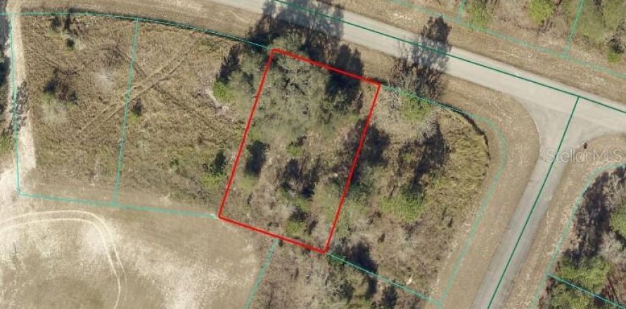 Land in Ocala, Florida № 2164648