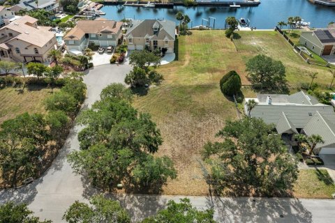Terrain à vendre à New Port Richey, Floride № 1598756 - photo 7