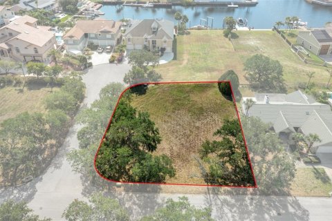 Terrain à vendre à New Port Richey, Floride № 1598756 - photo 5