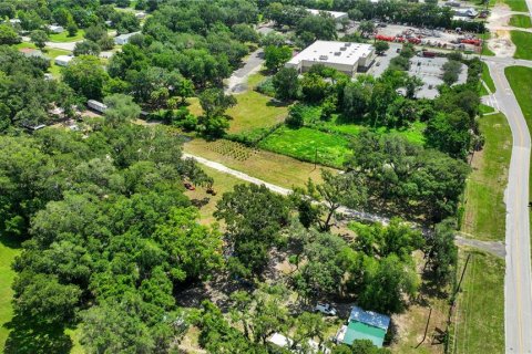 Land in Thonotosassa, Florida № 2227845 - photo 13
