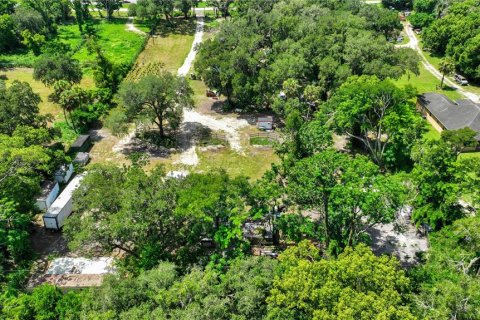 Land in Thonotosassa, Florida № 2227845 - photo 16