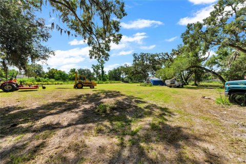Land in Thonotosassa, Florida № 2227845 - photo 17
