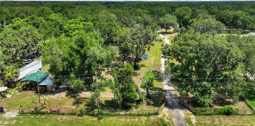 Land in Thonotosassa, Florida № 2227845