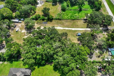 Land in Thonotosassa, Florida № 2227845 - photo 7