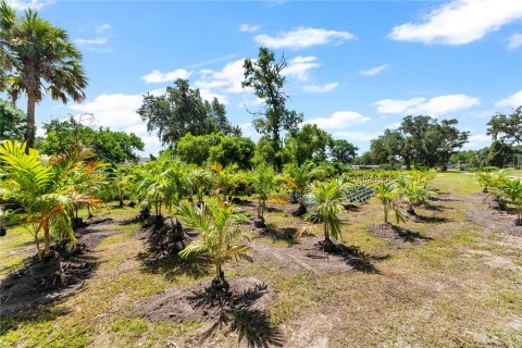 Land in Thonotosassa, Florida № 2227845 - photo 28
