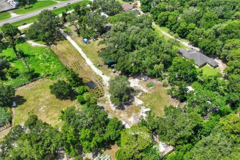 Land in Thonotosassa, Florida № 2227845 - photo 5