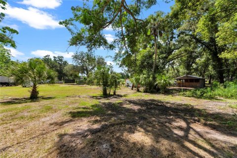 Land in Thonotosassa, Florida № 2227845 - photo 22