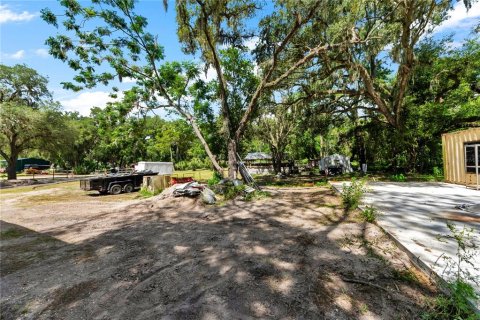 Land in Thonotosassa, Florida № 2227845 - photo 25