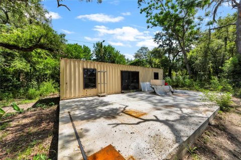 Land in Thonotosassa, Florida № 2227845 - photo 24