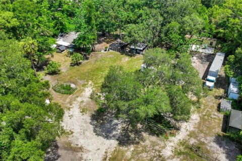 Land in Thonotosassa, Florida № 2227845 - photo 10
