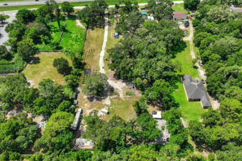 Land in Thonotosassa, Florida № 2227845 - photo 4