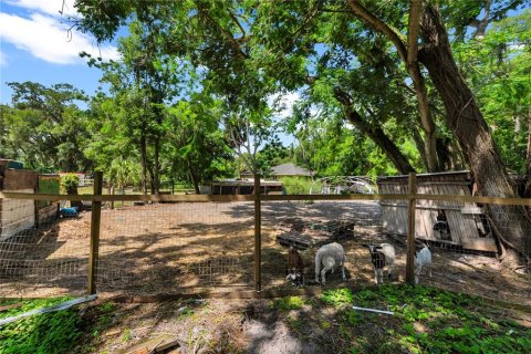 Land in Thonotosassa, Florida № 2227845 - photo 21