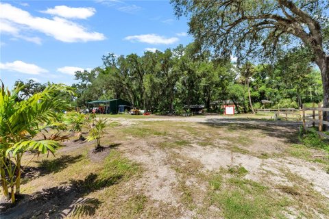 Land in Thonotosassa, Florida № 2227845 - photo 27