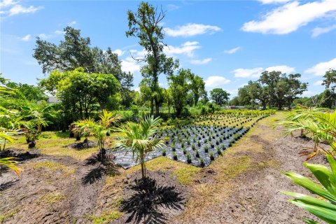 Land in Thonotosassa, Florida № 2227845 - photo 29