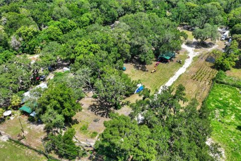 Land in Thonotosassa, Florida № 2227845 - photo 3