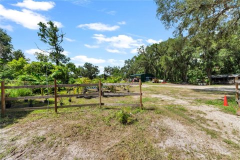 Land in Thonotosassa, Florida № 2227845 - photo 26