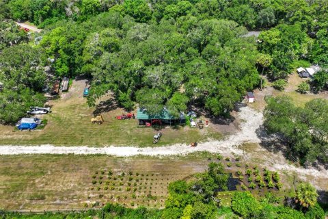 Land in Thonotosassa, Florida № 2227845 - photo 12