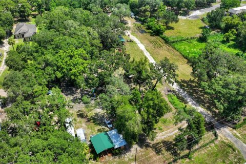 Land in Thonotosassa, Florida № 2227845 - photo 2
