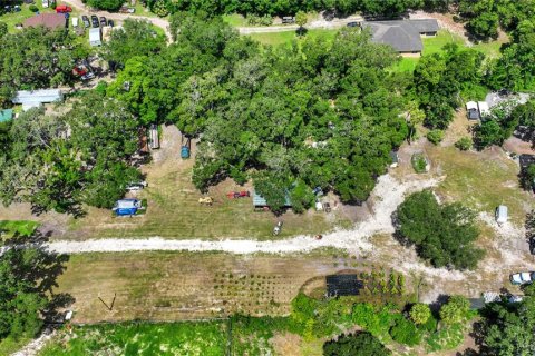 Land in Thonotosassa, Florida № 2227845 - photo 8