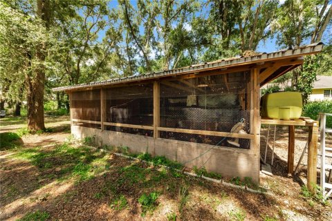 Land in Thonotosassa, Florida № 2227845 - photo 18