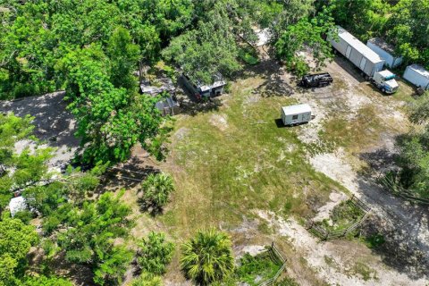 Land in Thonotosassa, Florida № 2227845 - photo 14