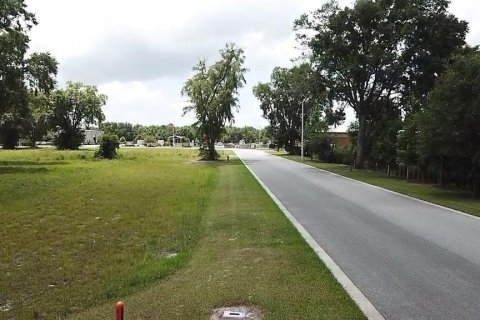 Land in Umatilla, Florida № 2277697
