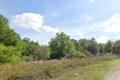 Land in Dunnellon, Florida № 2160404