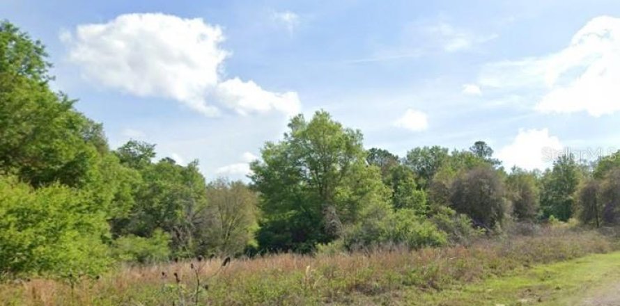 Land in Dunnellon, Florida № 2160404