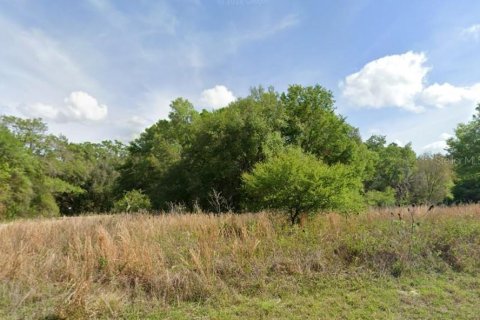 Land in Dunnellon, Florida № 2160404 - photo 3