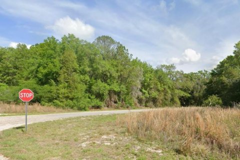 Land in Dunnellon, Florida № 2160404 - photo 2