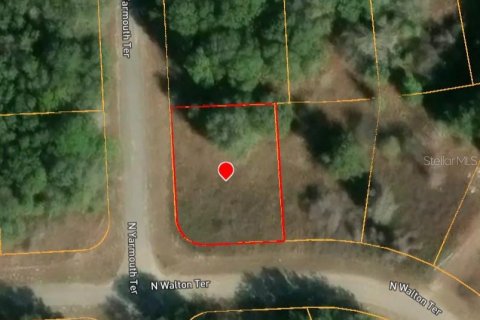 Land in Dunnellon, Florida № 2160404 - photo 4