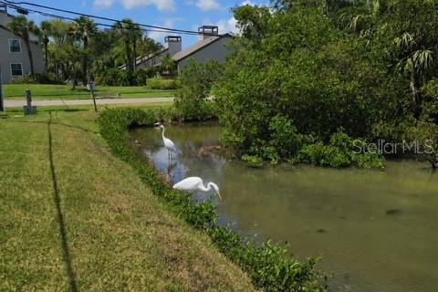 Condo in Saint Petersburg, Florida, 1 bedroom № 2122523 - photo 25
