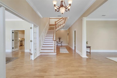 House in Kissimmee, Florida 5 bedrooms, 457.08 sq.m. № 1826389 - photo 6