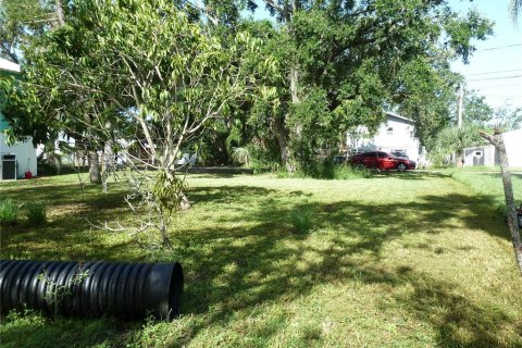 Land in Tampa, Florida № 1848134 - photo 7