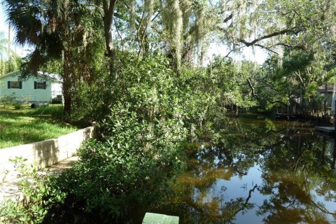 Land in Tampa, Florida № 1848134 - photo 3