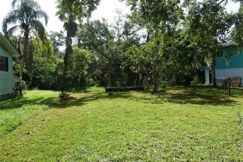 Land in Tampa, Florida № 1848134 - photo 1