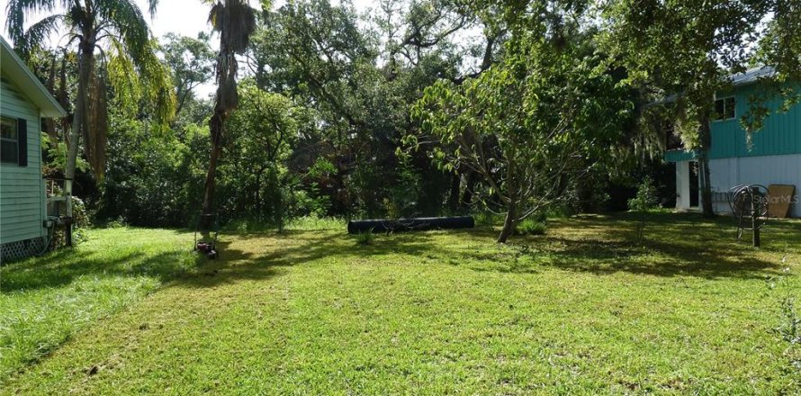 Land in Tampa, Florida № 1848134