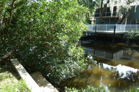 Land in Tampa, Florida № 1848134 - photo 2
