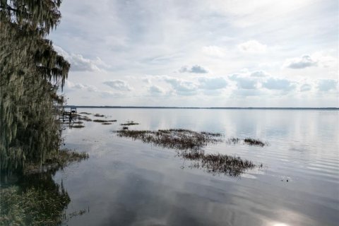 Land in Hawthorne, Florida № 2163674 - photo 4