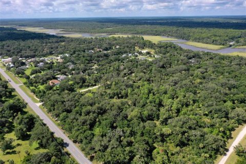 Land in Flagler Beach, Florida № 1877345 - photo 20