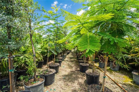 Commercial property in Miami, Florida № 1936309 - photo 29