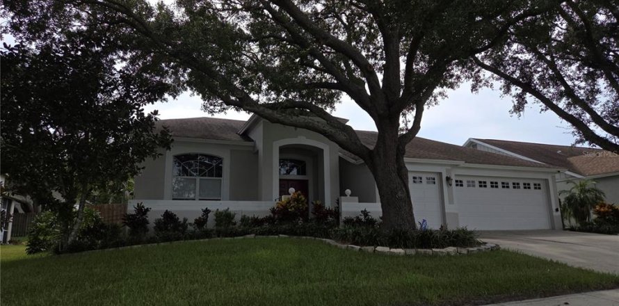 Casa en Valrico, Florida 4 dormitorios, 210.8 m2 № 1918473
