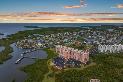 Condo in New Port Richey, Florida, 2 bedrooms  № 2136104