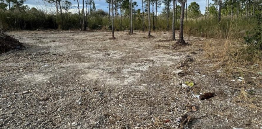 Land in Goulds, Florida № 998329