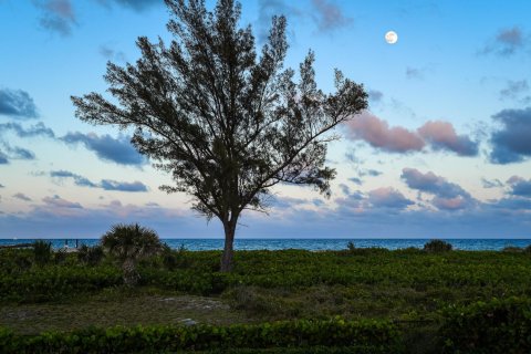 Villa ou maison à louer à Palm Beach, Floride: 5 chambres, 434.32 m2 № 825619 - photo 1