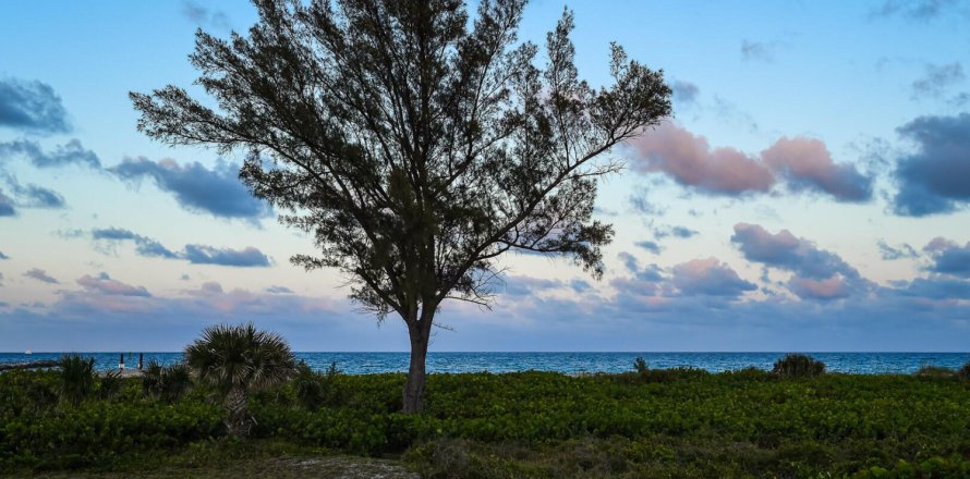 Casa en Palm Beach, Florida 5 dormitorios, 434.32 m2 № 825619